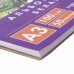 Скетчбук 297х410 мм Debut 50 листов 100 г/м2 110980 (2) в СПб, Санкт-Петербурге купить