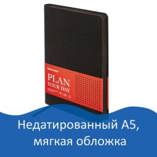 Ежедневник недатированный А5 Brauberg Stylish 160 листов 126224 (1)