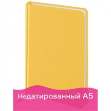 Ежедневник недатированный А5 Brauberg Select 160 листов 111662 (2)