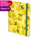 Блокнот А5 Brauberg Lemons 96 листов без линовки 113727 (4) в СПб, Санкт-Петербурге купить