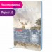 Ежедневник недатированный А5 Brauberg Vista Wild World 136 листов 112027 (2) в СПб, Санкт-Петербурге купить