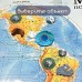 Карта мира  интерактиваня Полушария Brauberg 101х69 см 1:37М в тубусе 112376 (3) в СПб, Санкт-Петербурге купить