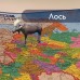 Карта России интерактивная Brauberg 101х70 см 1:8,5М 112395 (4) в СПб, Санкт-Петербурге купить