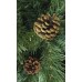 Ель Royal Christmas Detroit с шишками 527120 (120 см) в СПб, Санкт-Петербурге купить