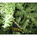Ель Royal Christmas Promo Tree Standard hinged 29270 (270см) в СПб, Санкт-Петербурге купить