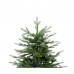Ель Royal Christmas Auckland 821120 (120 см) в СПб, Санкт-Петербурге купить