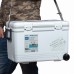 Изотермический контейнер Shinwa Holiday Land Cooler 27H белый в СПб, Санкт-Петербурге купить