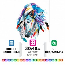 Алмазная мозаика 30х40 см Остров Сокровищ Индейская лошадь без подрамника 662403 (1)