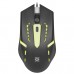 Мышь проводная оптическая USB Defender Flash MB-600L (52600) (2) в СПб, Санкт-Петербурге купить