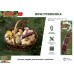 Нож грибника Boyscout 61922 в СПб, Санкт-Петербурге купить
