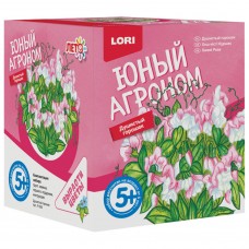 Набор для выращивания растений Lori Юный Агроном Душистый горошек Р-005