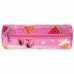 Пенал тубус Brauberg Watermelon 229009 в СПб, Санкт-Петербурге купить