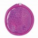 Пенал тубус Brauberg Glitter Pink 229017 в СПб, Санкт-Петербурге купить