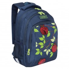 Рюкзак школьный ортопедический Grizly Яблоня 13,5 л RG-062-1/1 (229515)