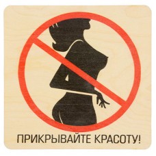 Табличка Банные Штучки Прикрывайте красоту, береза 20х20 см 32304
