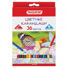 Карандаши цветные Пифагор Бабочки 36 цветов 181354 (3)